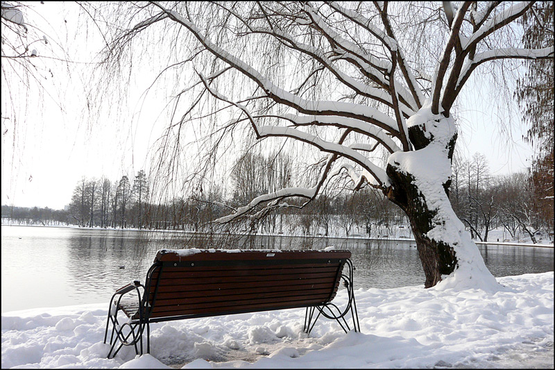 photo "Loneliness in two / Одиночество в два" tags: landscape, city, Bucharest, lake, parks, snow, trees, winter