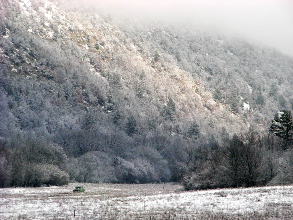 photo "***" tags: landscape, forest, winter