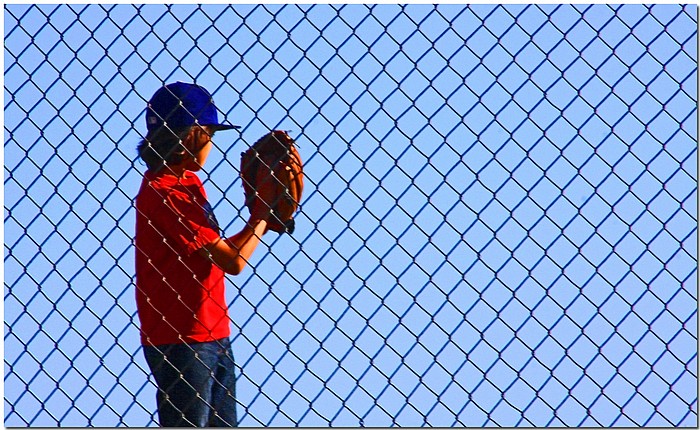 photo "D'Fence" tags: reporting, sport, 