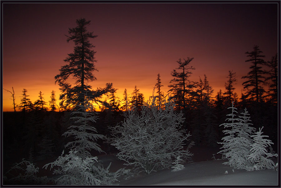 photo "***" tags: landscape, forest, sunset