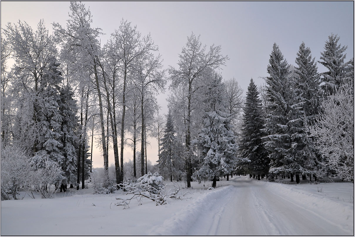 фото "Седая зима" метки: пейзаж, природа, 