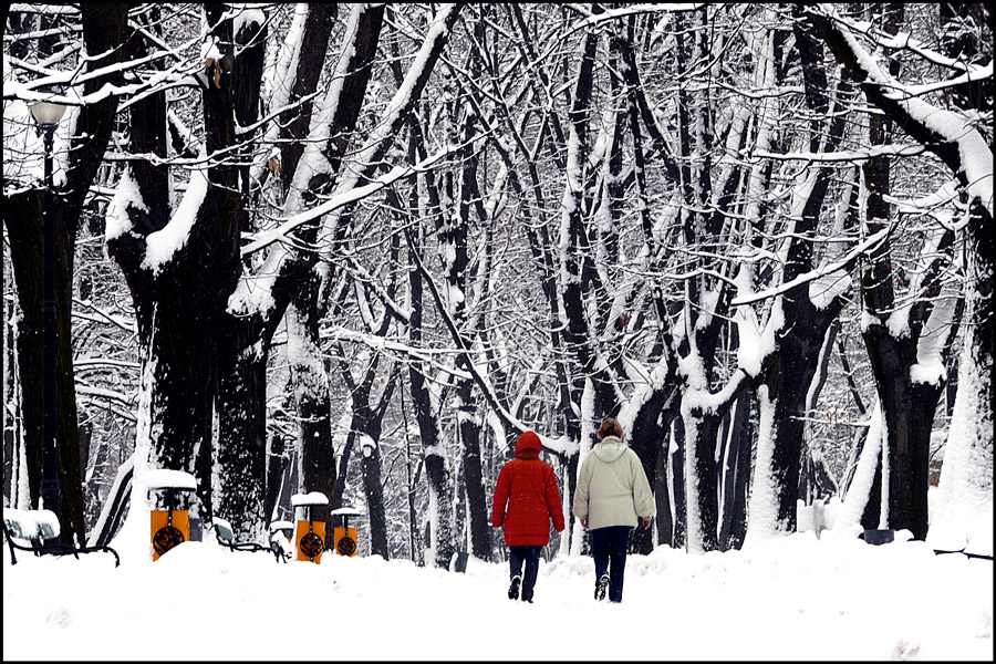 photo "Winter challenge" tags: landscape, reporting, Bucharest, parks, people, road, snow, trees, winter