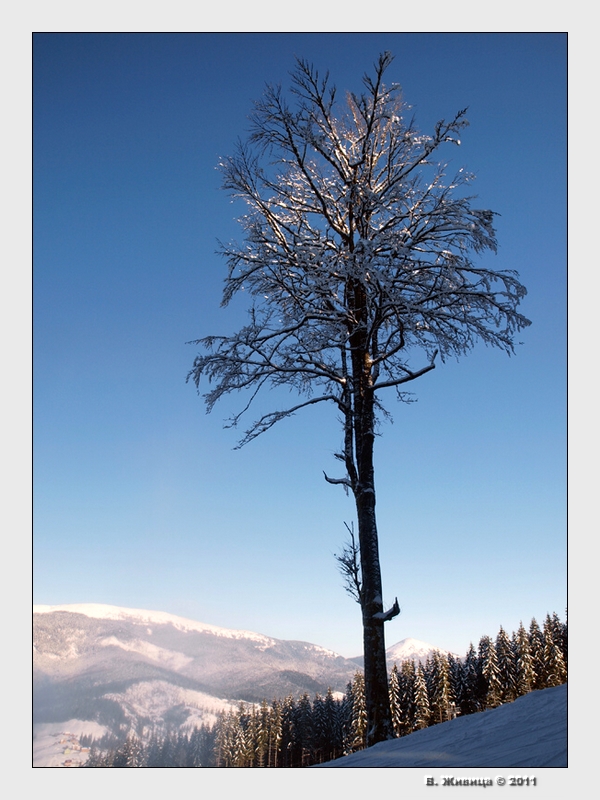photo "***" tags: landscape, mountains, winter