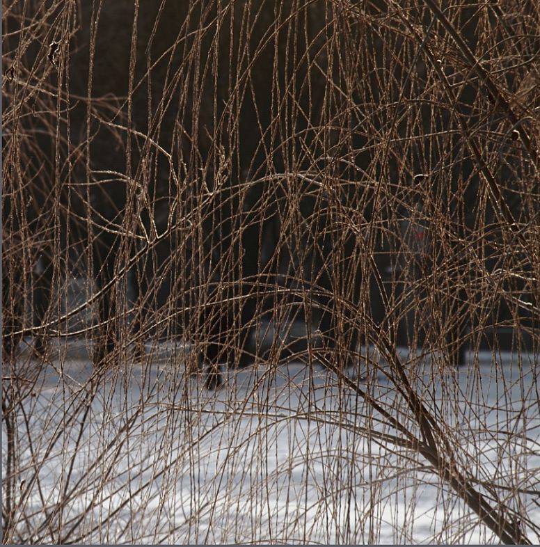 фото "струи" метки: , 