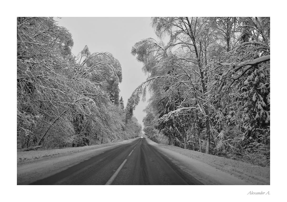 photo "Bowing to the earth" tags: landscape, winter