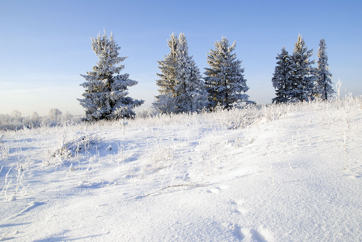 photo "***" tags: landscape, winter