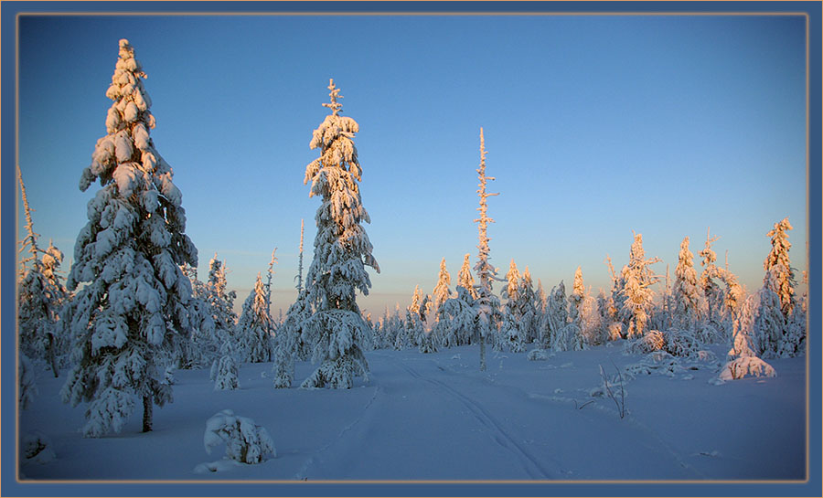 photo "***" tags: landscape, forest, winter