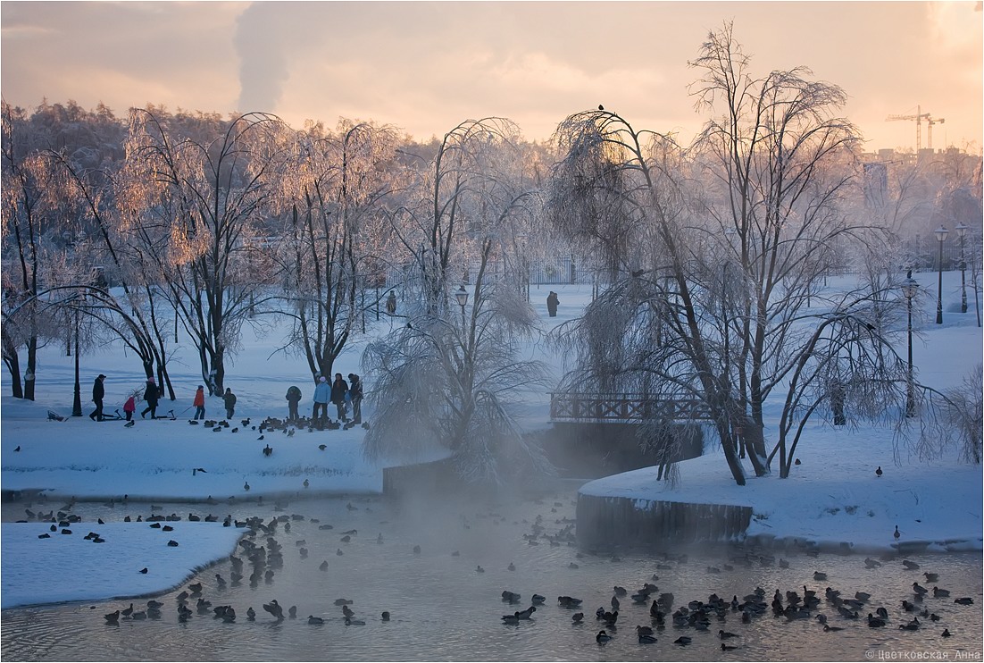 photo "***" tags: landscape, winter