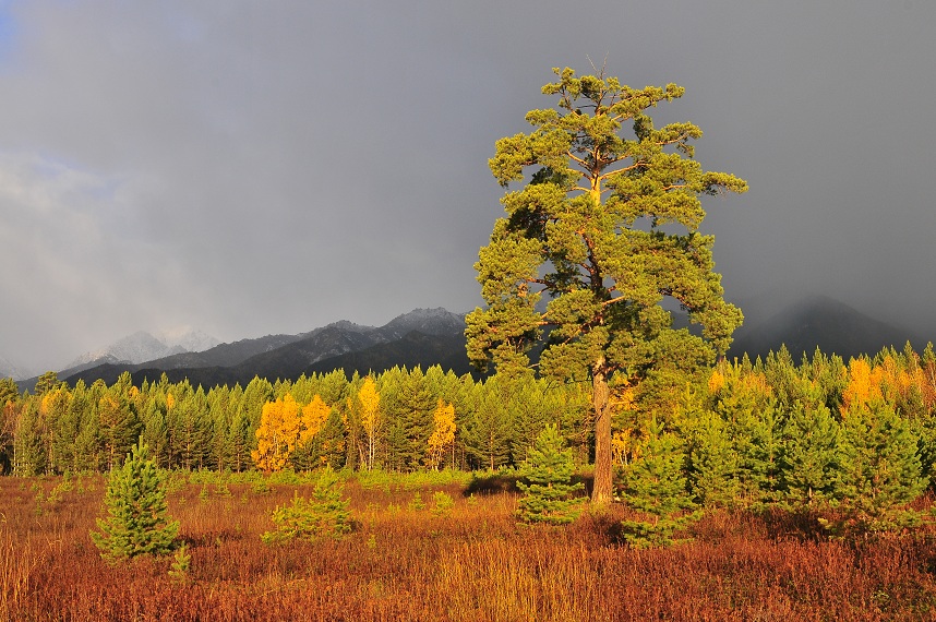 photo "***" tags: landscape, autumn