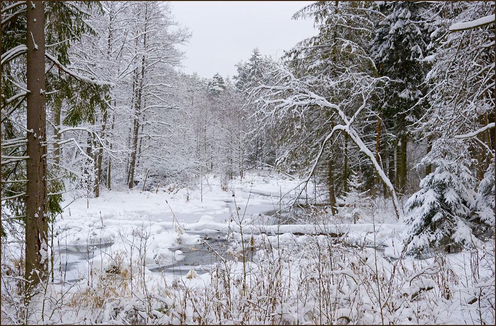 фото "В заснеженной глуши" метки: пейзаж, зима, лес