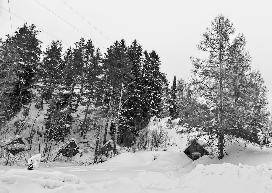 фото "домики для гномиков" метки: , 