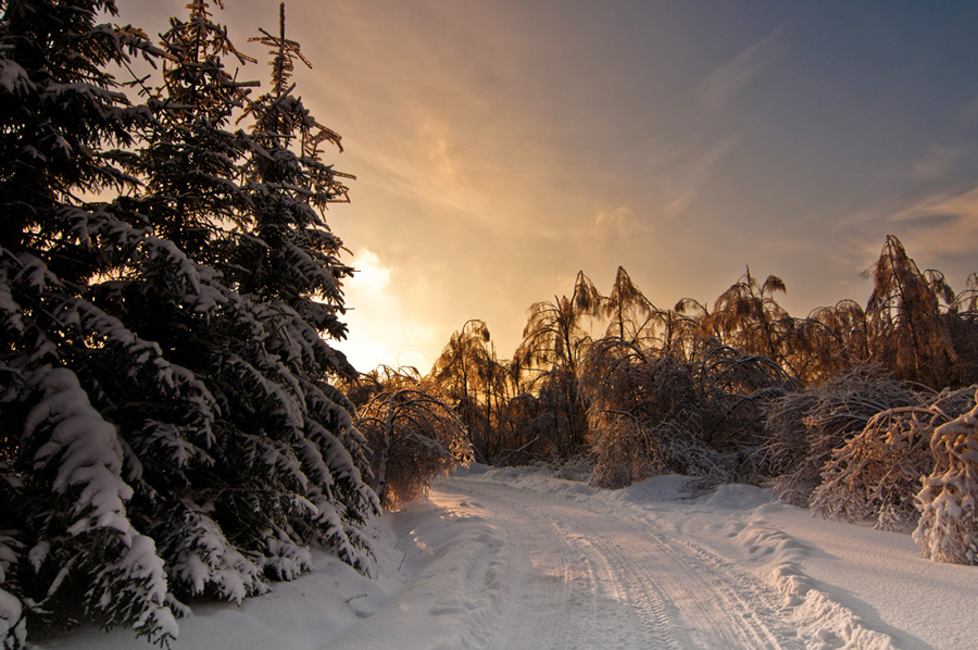 photo "***" tags: landscape, winter