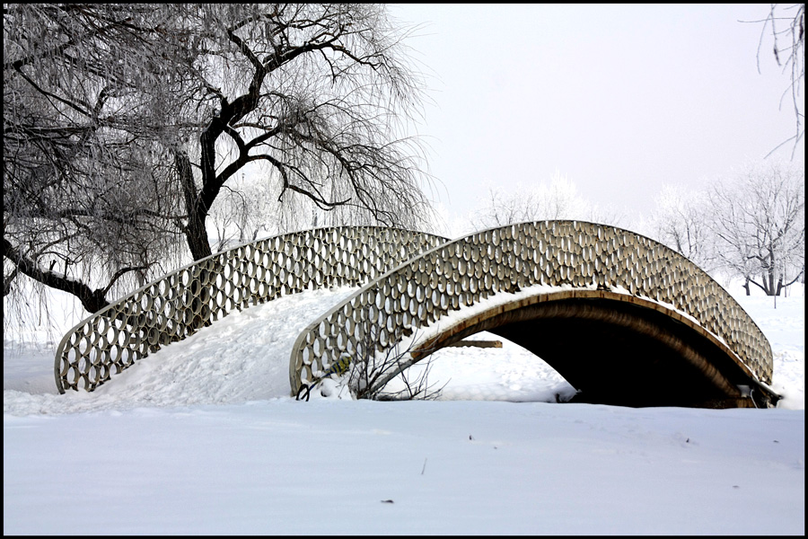 photo "Arching over snow" tags: architecture, city, Bucharest, bridge, parks, snow, winter
