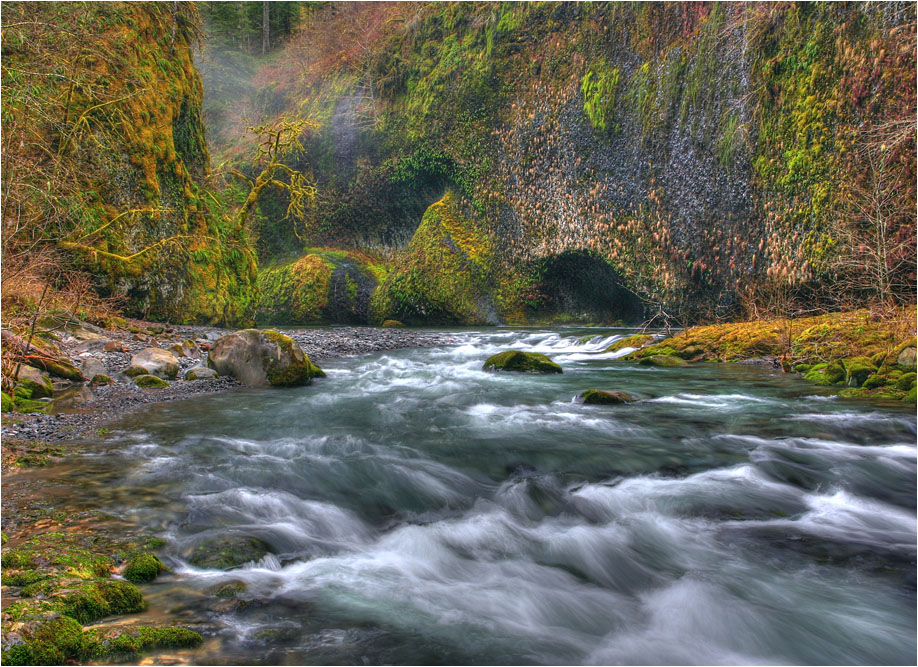 photo "Z" tags: landscape, forest, water