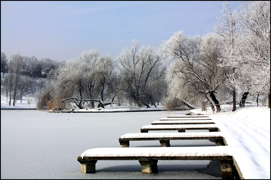 photo "Frozen lake" tags: landscape, city, Bucharest, lake, parks, snow, trees, water, winter