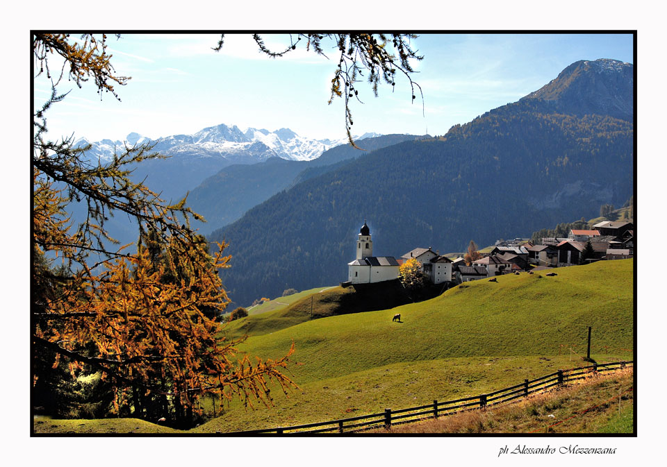 photo "landscape alp" tags: landscape, 