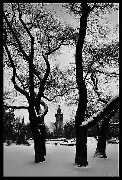 фото "Зимние Karlovo площадь" метки: архитектура, черно-белые, пейзаж, 
