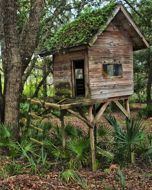 photo "A playhouse outgrown and forgotten." tags: landscape, 