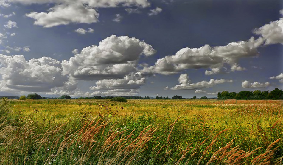 photo "***" tags: landscape, 