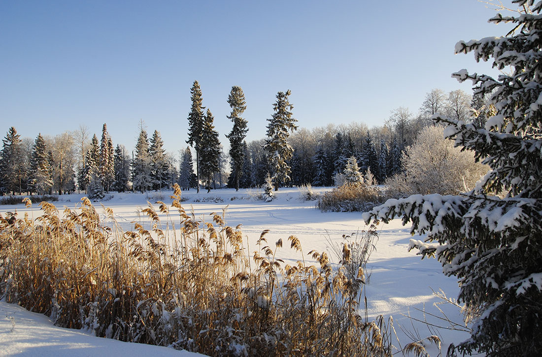 фото "Зимнее  озеро" метки: пейзаж, зима