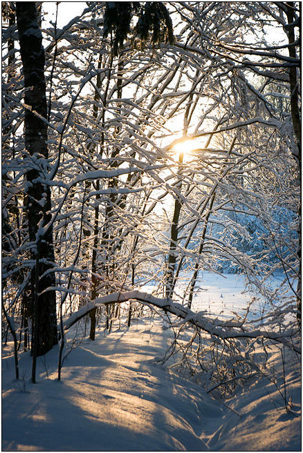 photo "***" tags: landscape, winter