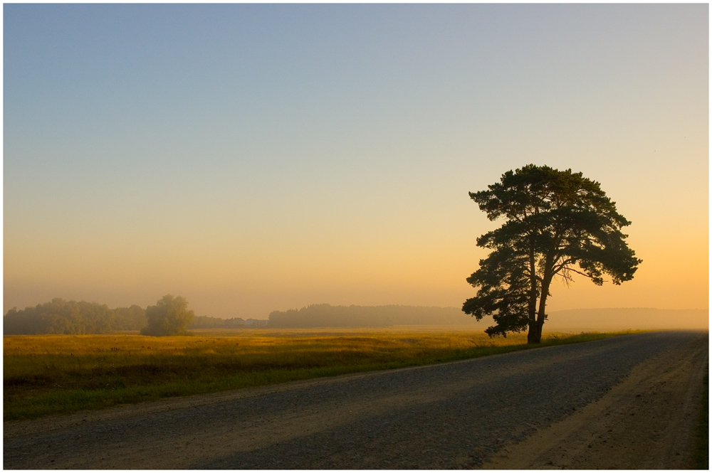 photo "***" tags: landscape, summer