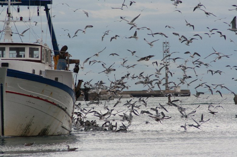 photo "lunch time" tags: landscape, water
