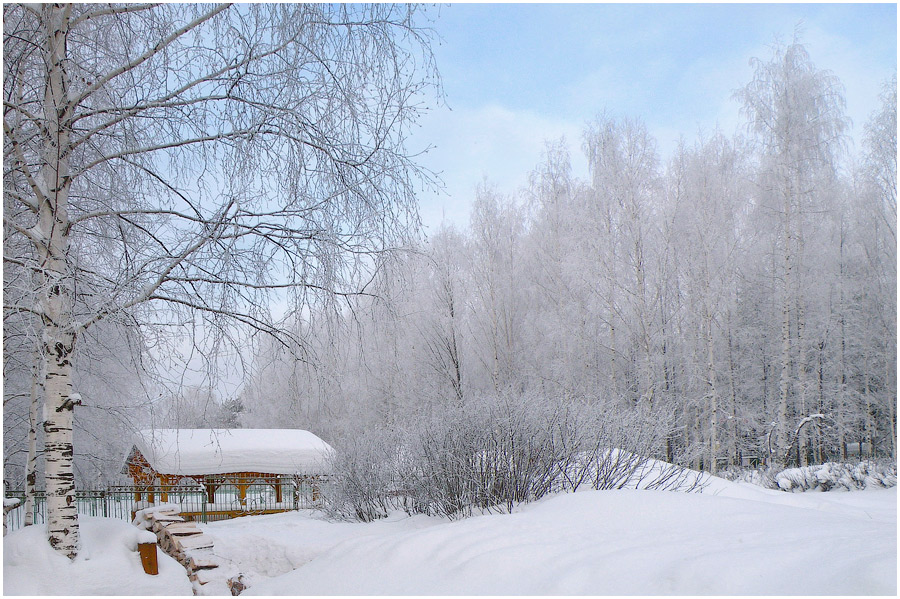 photo "***" tags: landscape, forest, winter