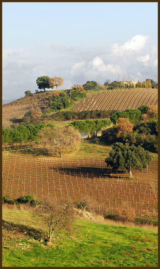 фото "Toscana IV" метки: пейзаж, осень