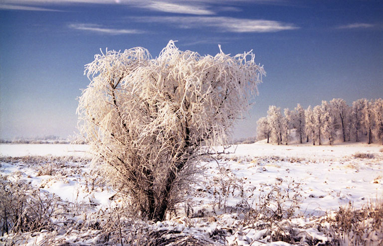 photo "Small ice doomsday" tags: landscape, winter