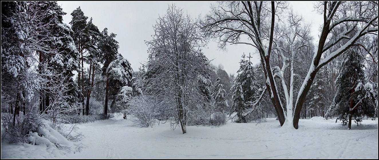 фото "зимняя панорама" метки: пейзаж, зима, лес