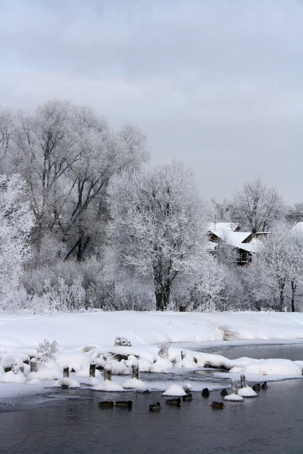 фото "зиме не долго длиться..." метки: пейзаж, вода, зима