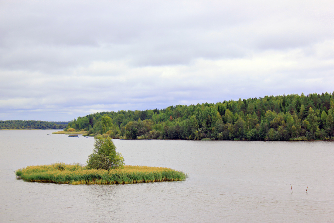 photo "Green island." tags: landscape, autumn, water