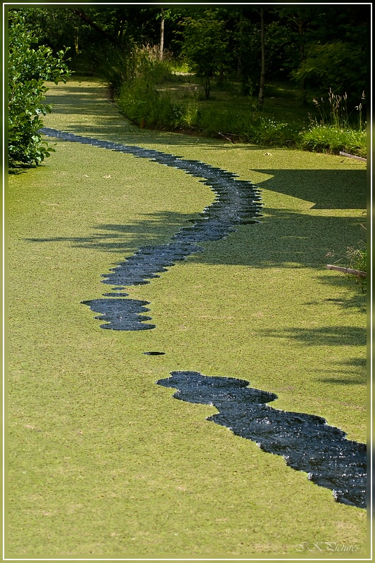 фото "След анаконды" метки: пейзаж, вода