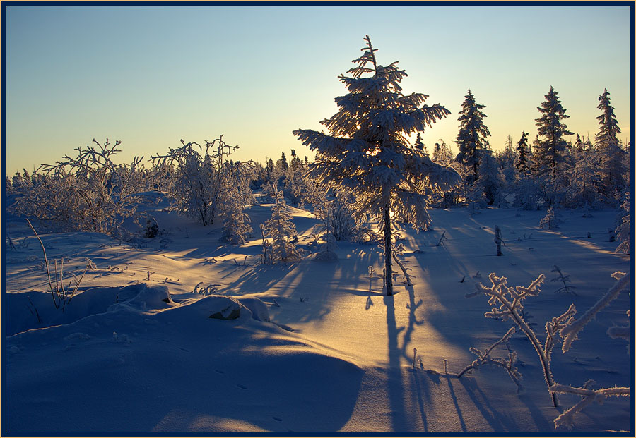 photo "***" tags: landscape, forest, winter