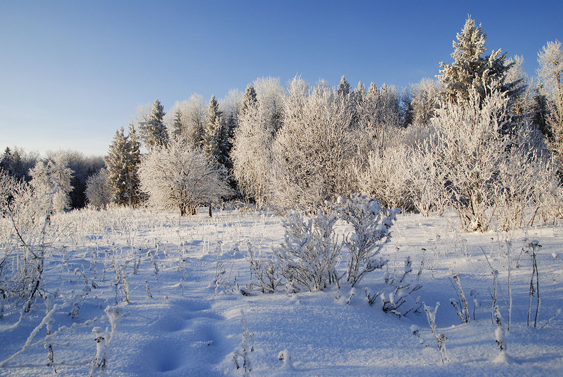 photo "***" tags: landscape, winter