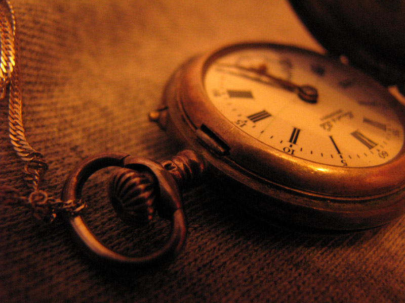 photo "the flight of time" tags: macro and close-up, old-time, 