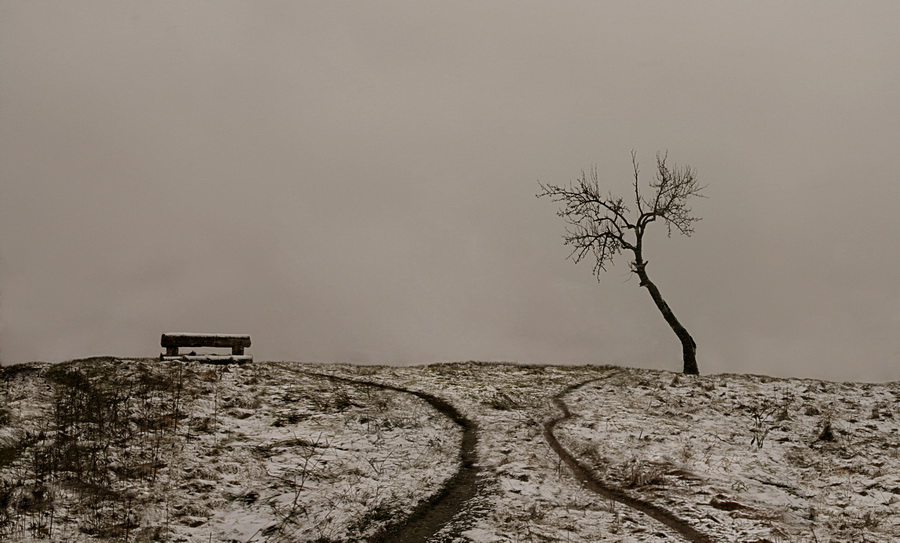 фото "два" метки: пейзаж, жанр, зима
