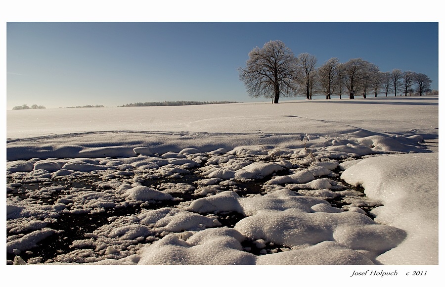 фото "County for wetland" метки: , 