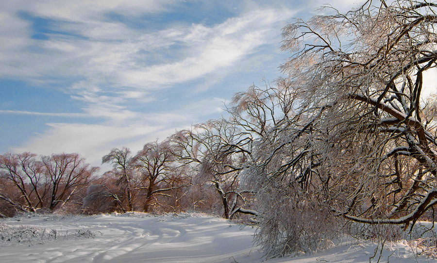 photo "***" tags: landscape, winter