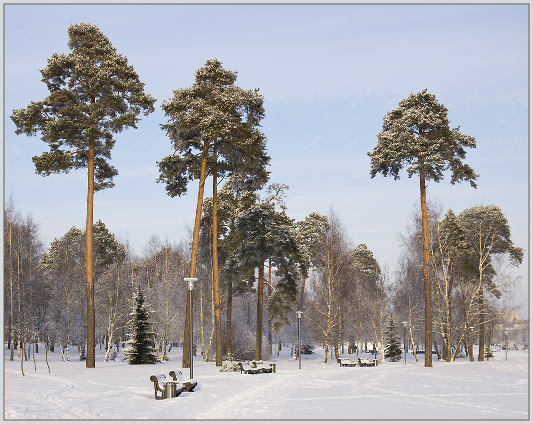 фото "В зимнем парке" метки: пейзаж, зима