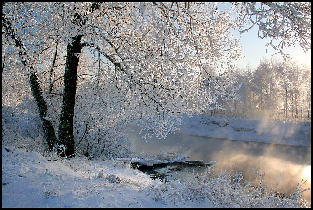 фото "Теплые лучи" метки: пейзаж, зима