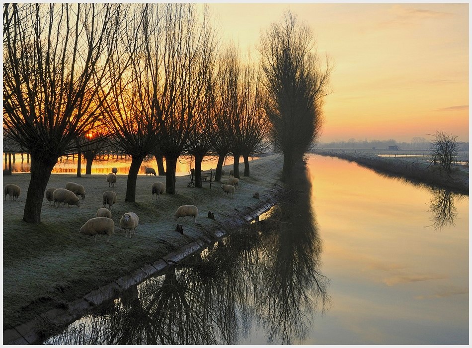 photo "***" tags: landscape, 