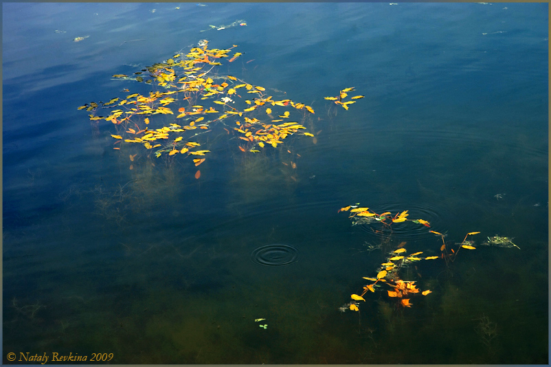 photo "***" tags: landscape, autumn, water