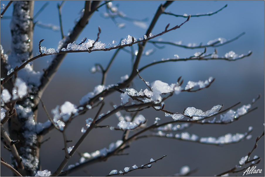 photo "***" tags: landscape, fragment, winter