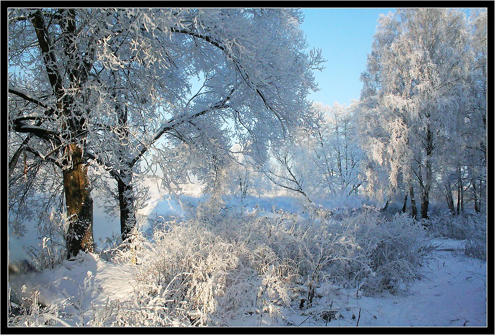 фото "Ласки света" метки: , зима