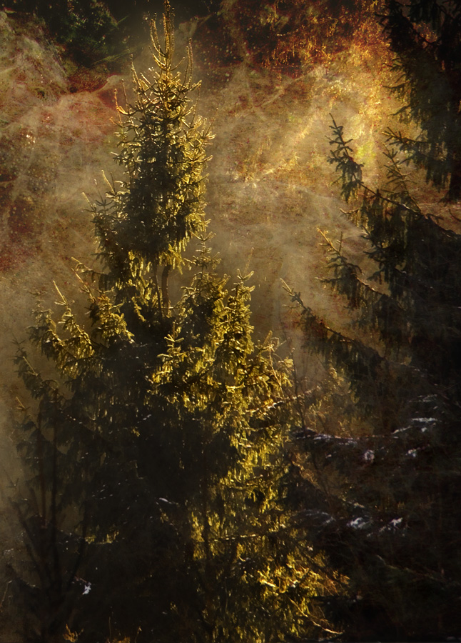 photo "To catch the light" tags: digital art, 