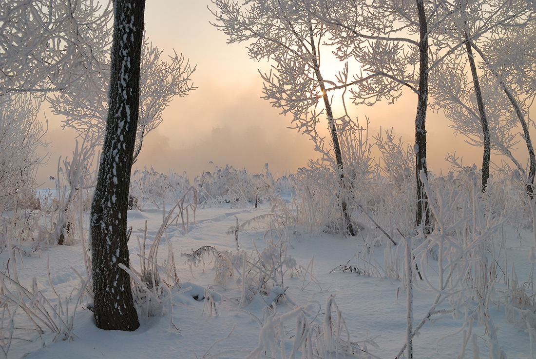 photo "***" tags: landscape, winter