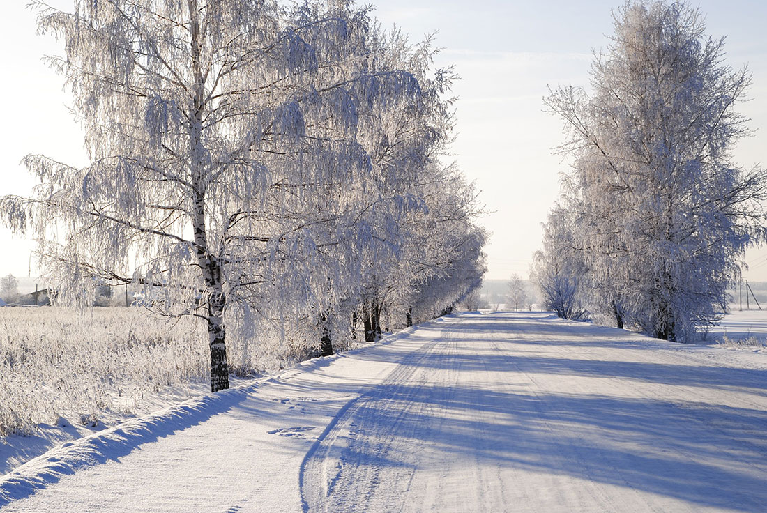 photo "***" tags: landscape, winter