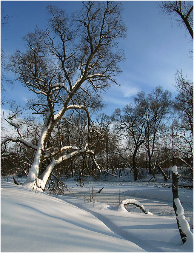 photo "February" tags: landscape, winter